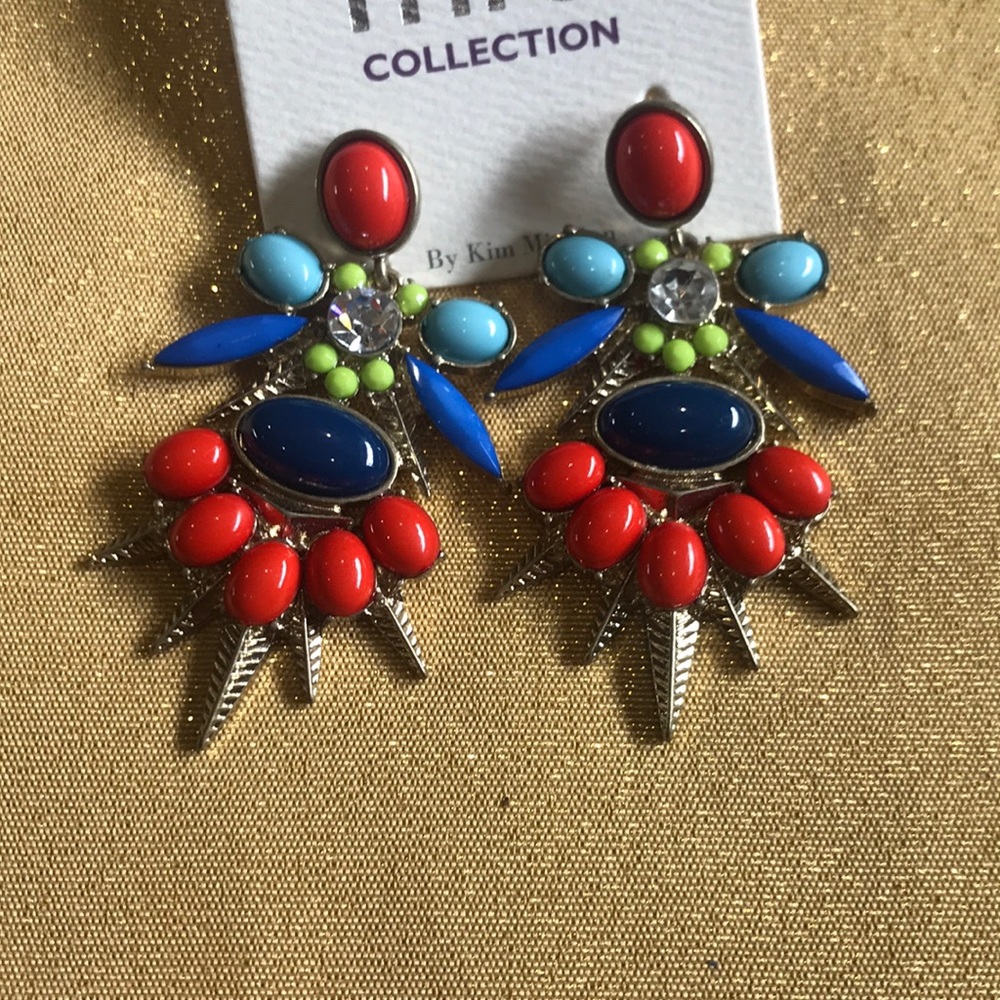 Beautiful Earrings( New with out tags)